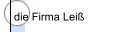die Firma Leiß 